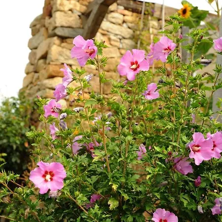 Raupennest Mit Blockhaussauna 4*