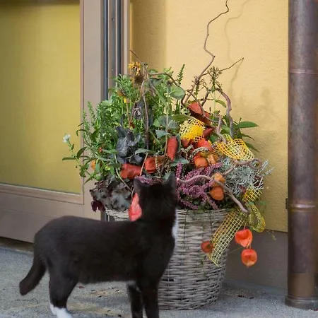 Raupennest Mit Blockhaussauna 4* Bautzen